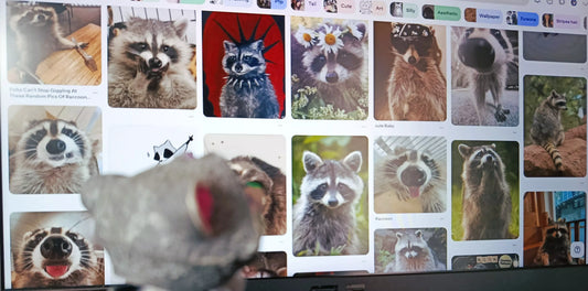 Créer sans se comparer : comment retrouver le plaisir de la créativité ?