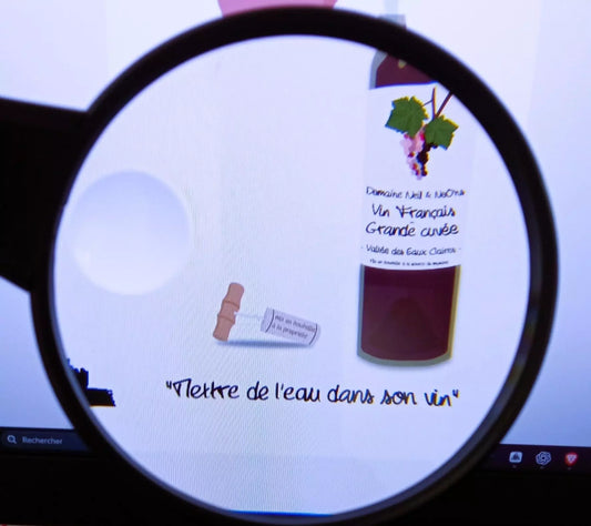 Que veut dire "Mettre de l'eau dans son vin" ? 🔍 - Scellé-Raton